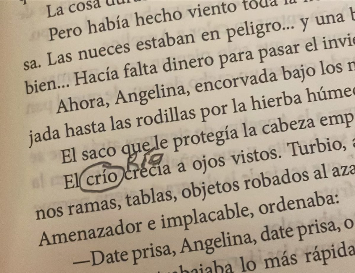 yisesmarin's tweet photo. @cristinadiazal Ni te cuento la editorial Contraescritura. 
No había visto una porquería así en mi vida. https://t.co/WACjGNKWAC