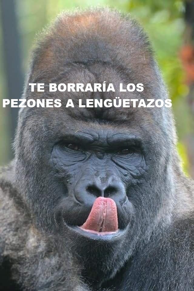 FlordeCogollo tweet media