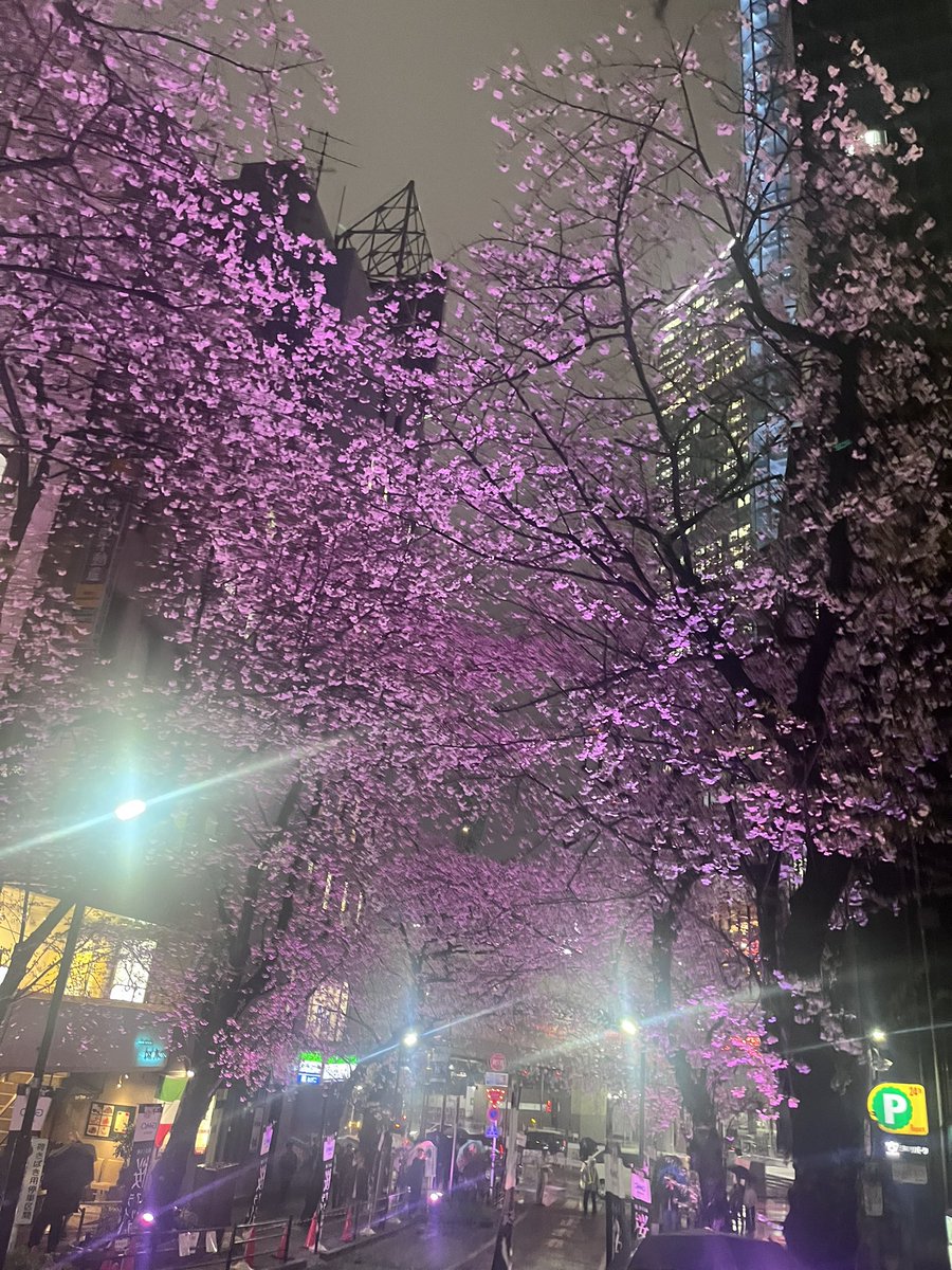 佐藤 龍之介 tweet media