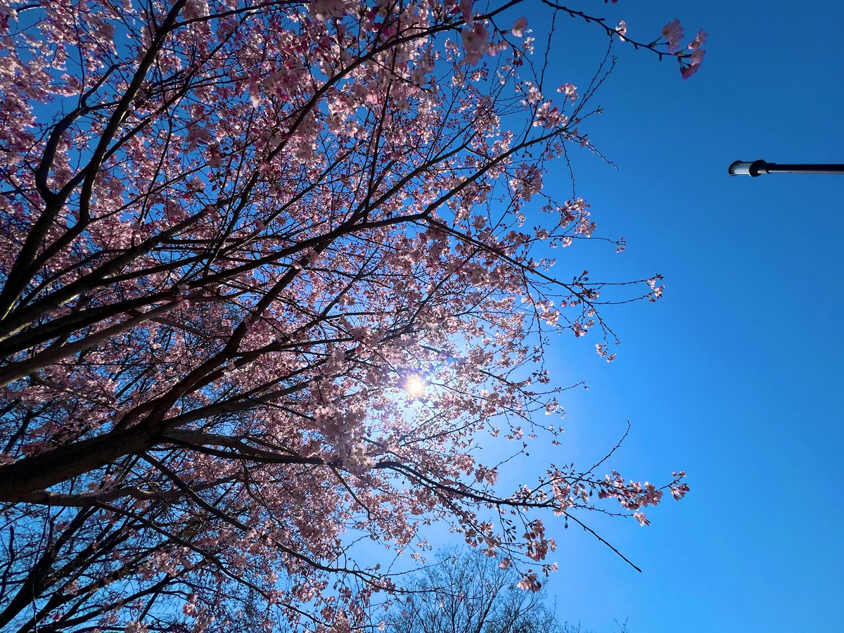 419126's tweet photo. 毎日配信。本日は鼻が詰まりすぎて辛いのに、配信してくれております。エペ好きor知ってる方々、よろしければ見に来てね～🫶🥰

APEXライブ配信！エペランクやる！※今日がちで鼻詰まってますLive！〈APEX/steam版〉 https://t.co/Q2fTTNnY2I @YouTubeより https://t.co/GGvSNGTzUS