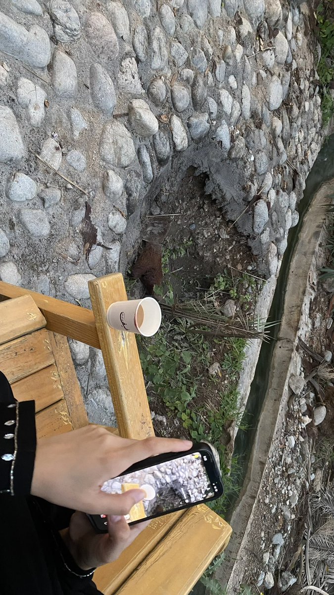 شيخة🌵 tweet media