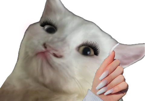 Michi Mochievee 💍 tweet media