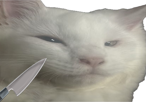 Michi Mochievee 💍 tweet media