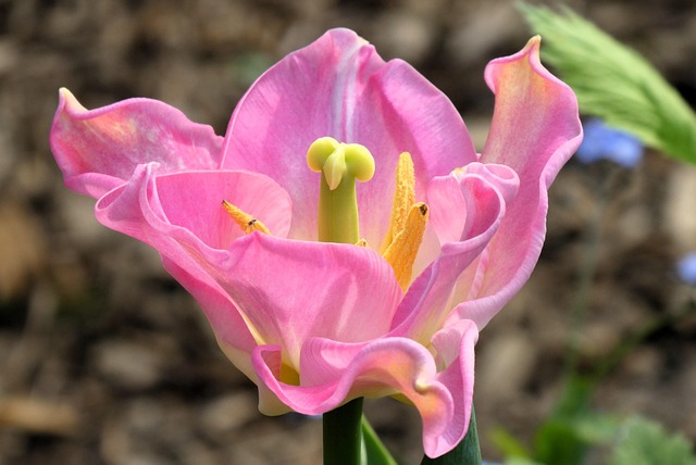 Bradley Crowder tweet media