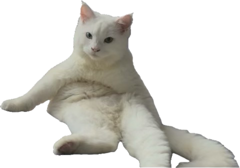 Michi Mochievee 💍 tweet media