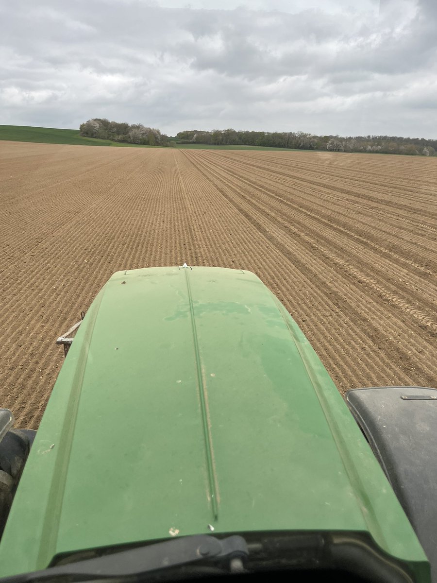 Maxime Buffalo tweet media