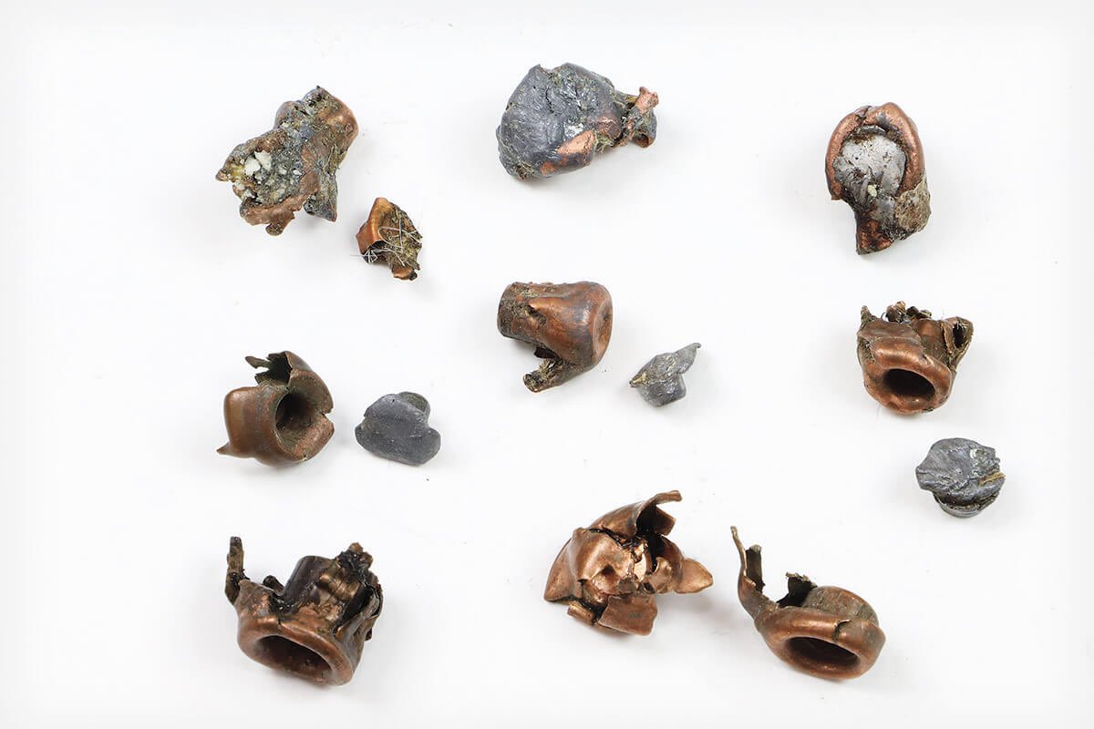 fake blonde tweet media