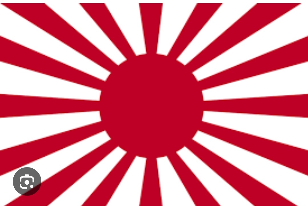 ぴろん🌸 tweet media