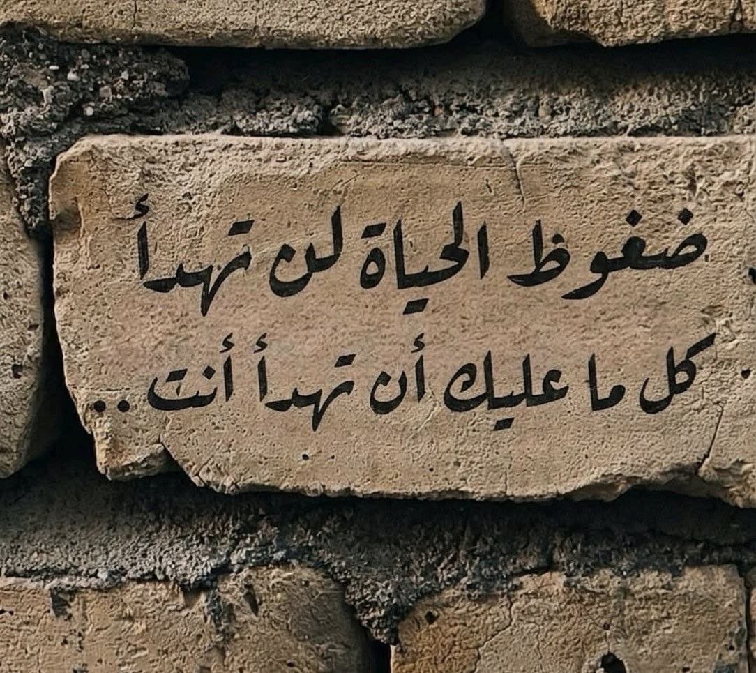 Mona Zahid tweet media