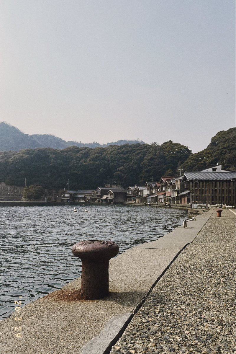 桜井元希 / Motoki Sakurai tweet media