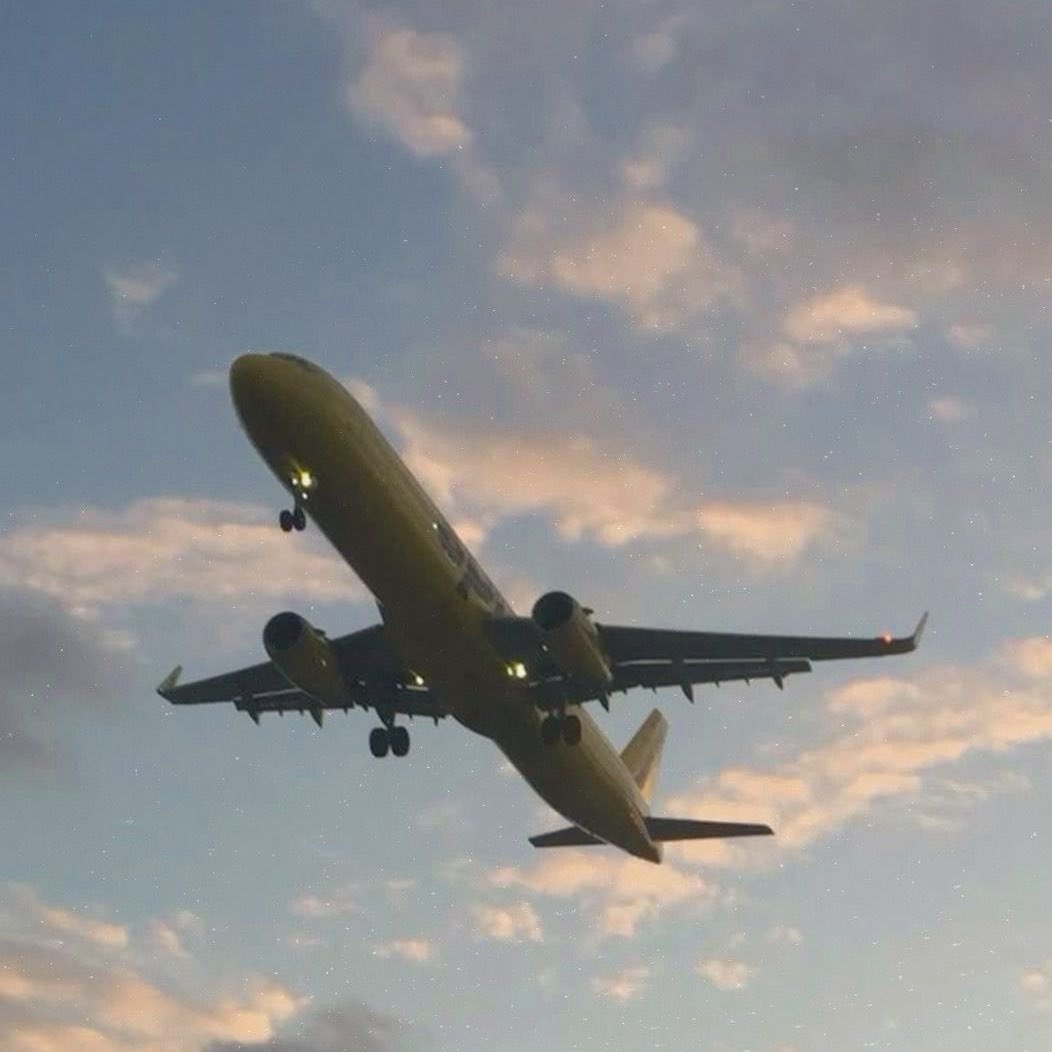 karla ౨ৎ tweet media