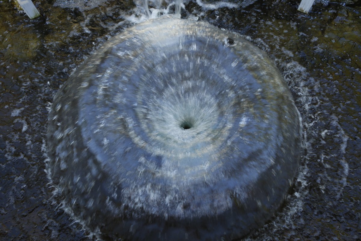 Pour la Science tweet media