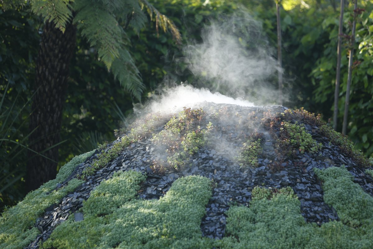 Pour la Science tweet media