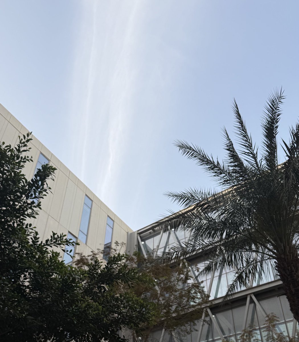 أصـايــل tweet media