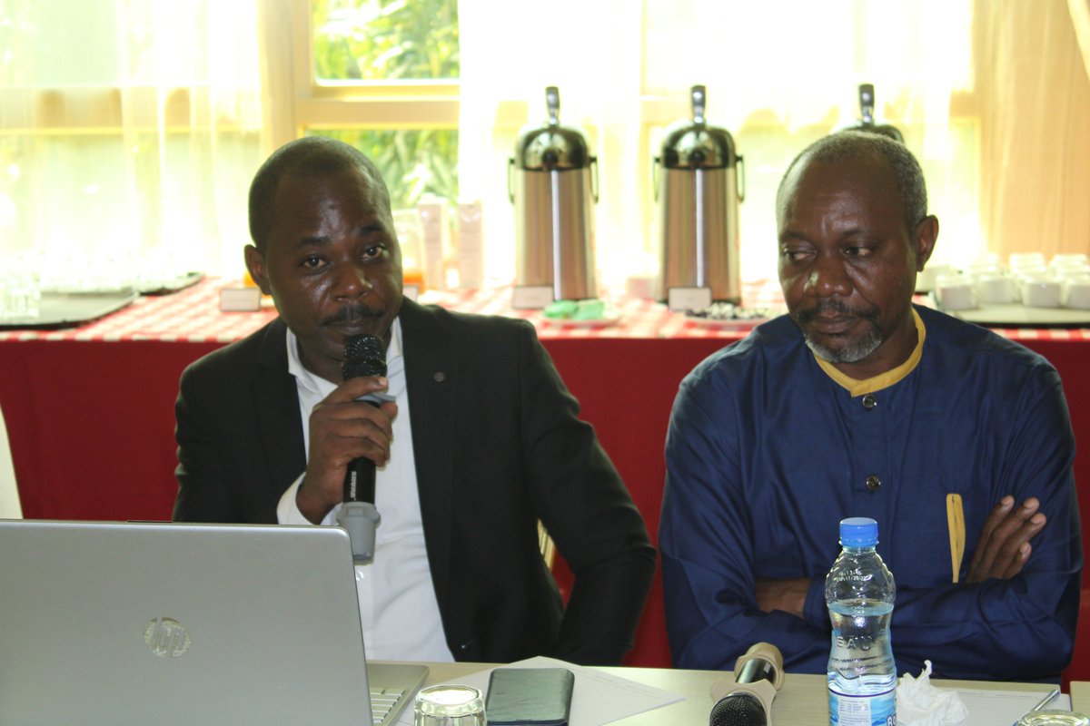 Brainforest Gabon tweet media
