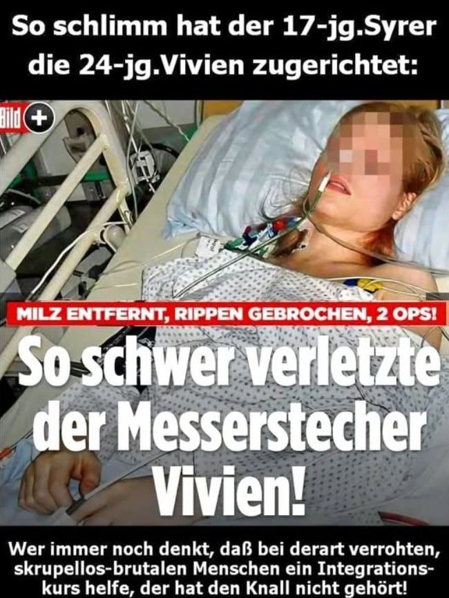 Daniel Vollmer🇩🇪💙 tweet media