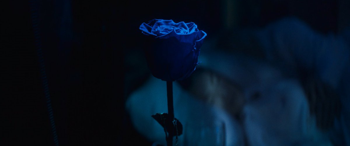 Daredevil Shots tweet media