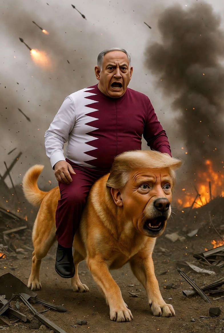 Ami Dror 🇮🇱 עמי דרור tweet media