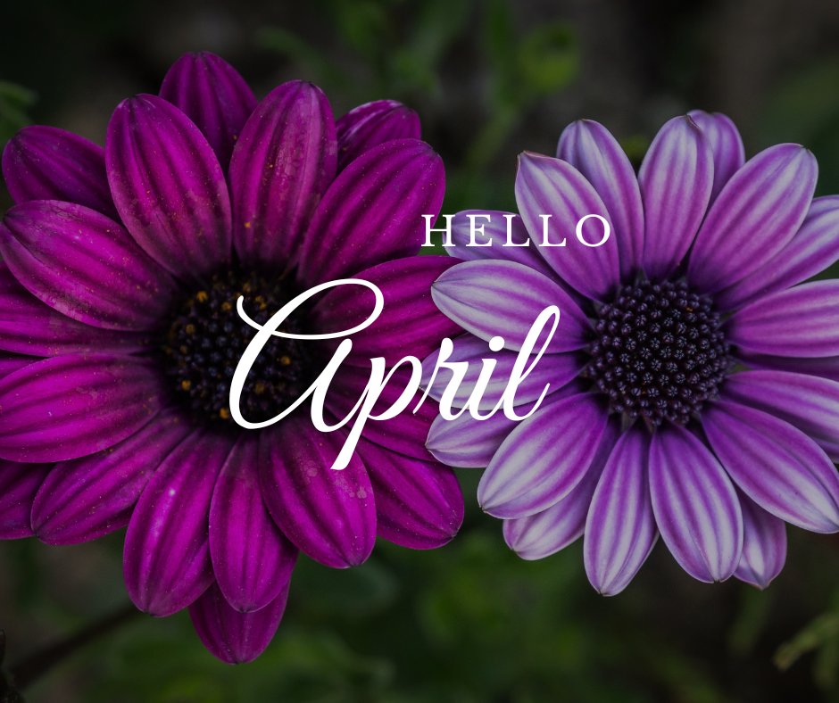 Roxy Boroughs tweet media