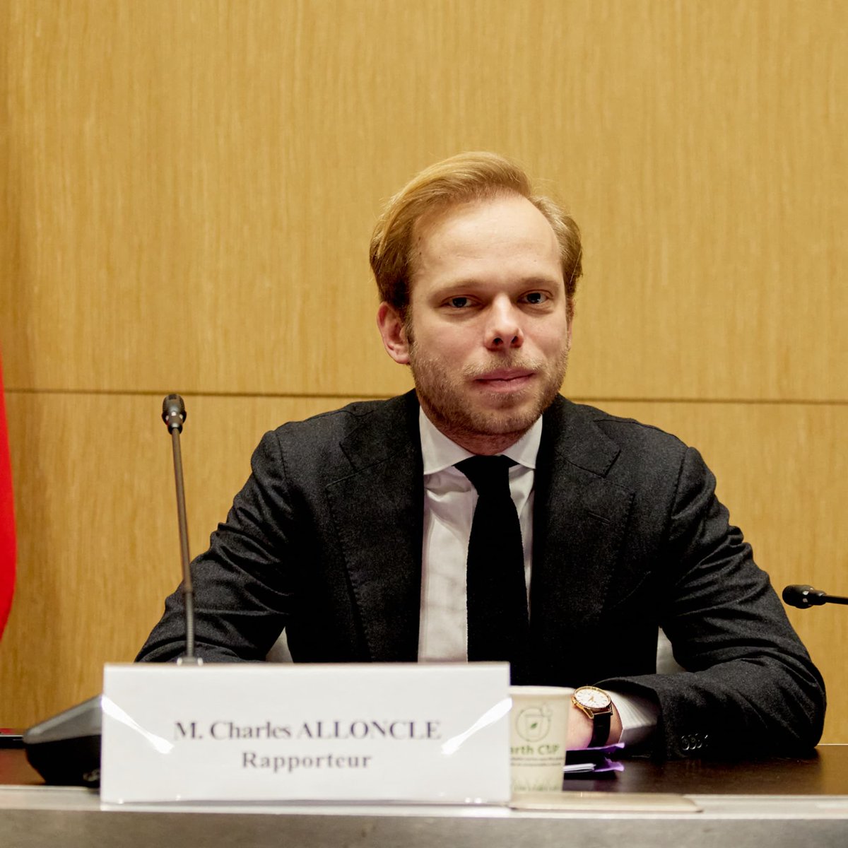 Bleu Blanc Rouge ! 🇫🇷 tweet media