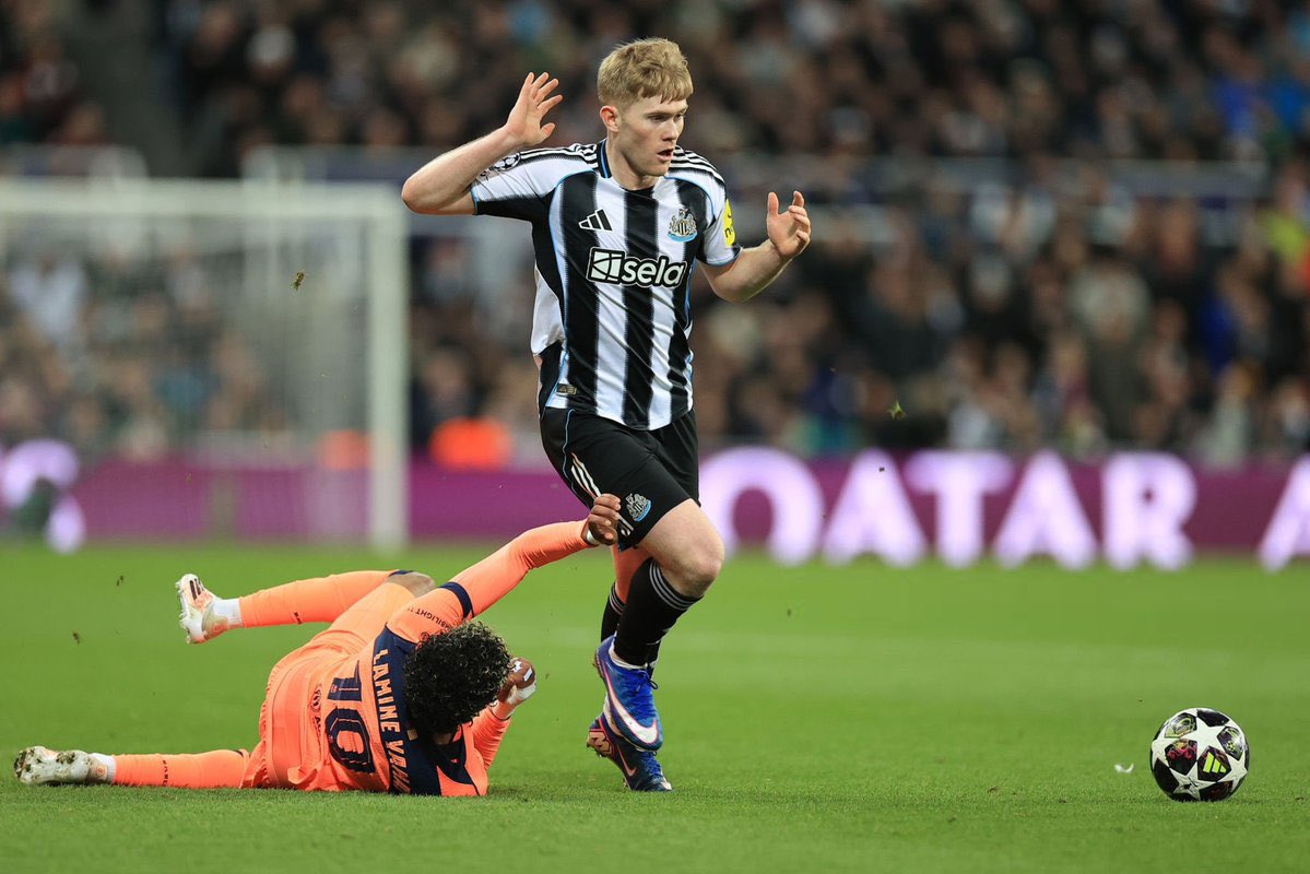 محٍيد tweet media