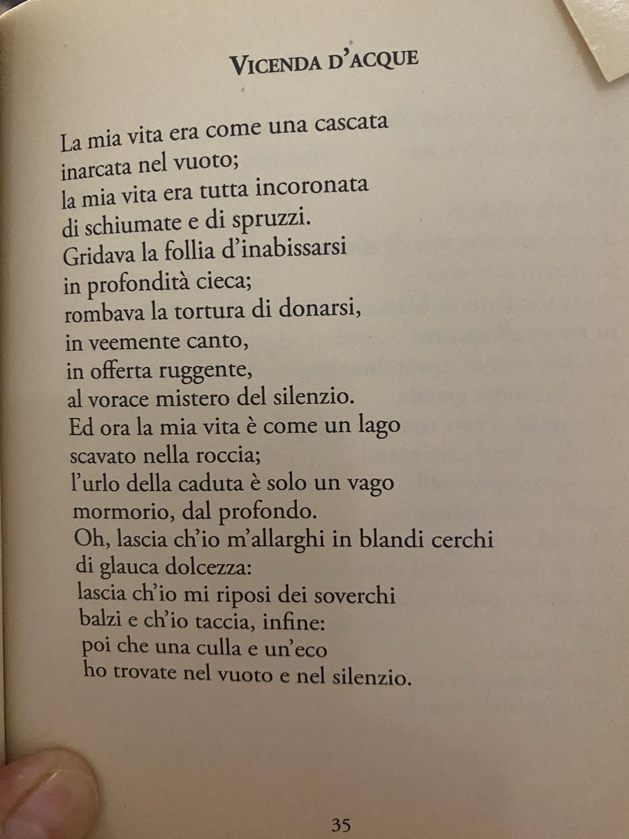 Genoveffa  tweet media