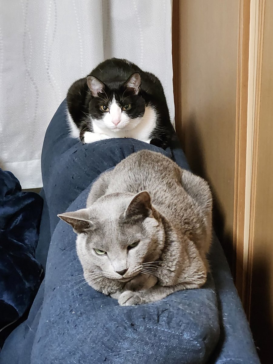 る～ちゃん tweet media