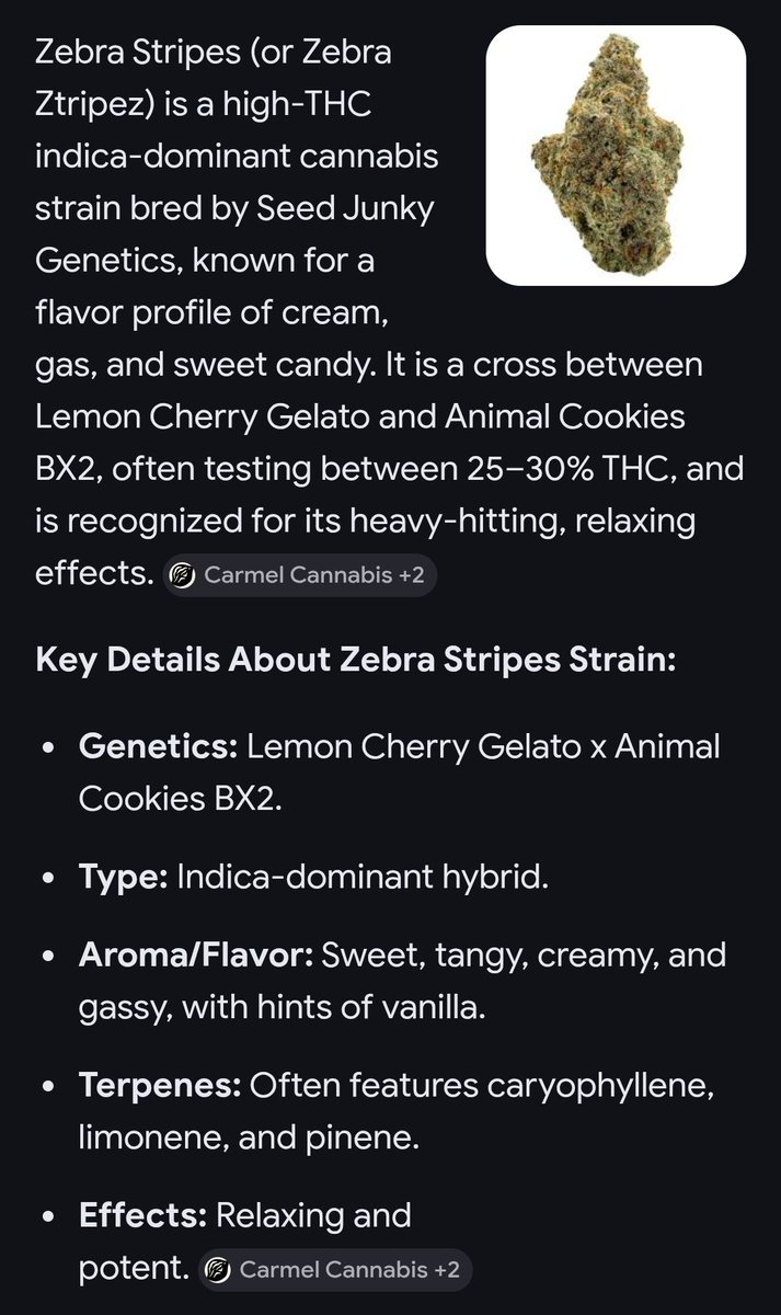 Khalid Bin Ainon tweet media