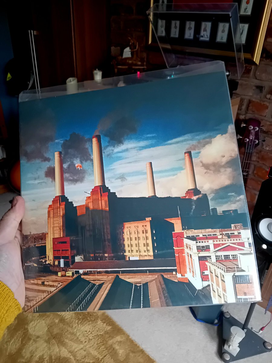 Vinyl Rocks🎶 tweet media