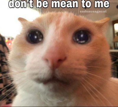 Kat ⊙⊝⊜⁷ tweet media