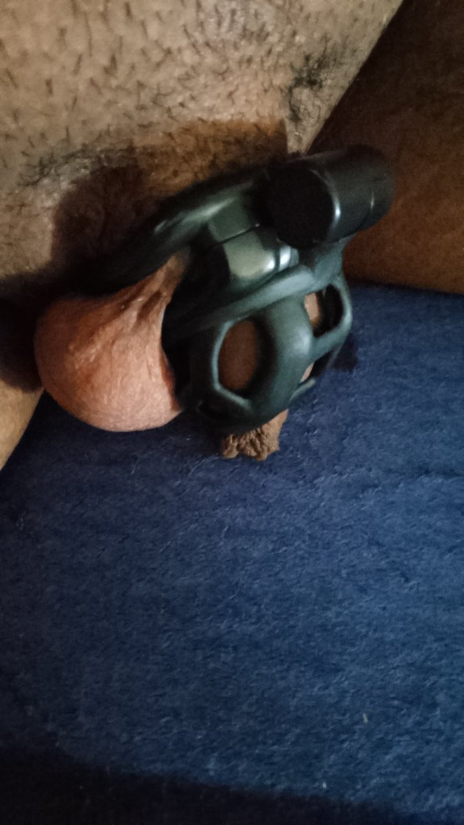 ☆Fred-the-Bear☆ tweet media