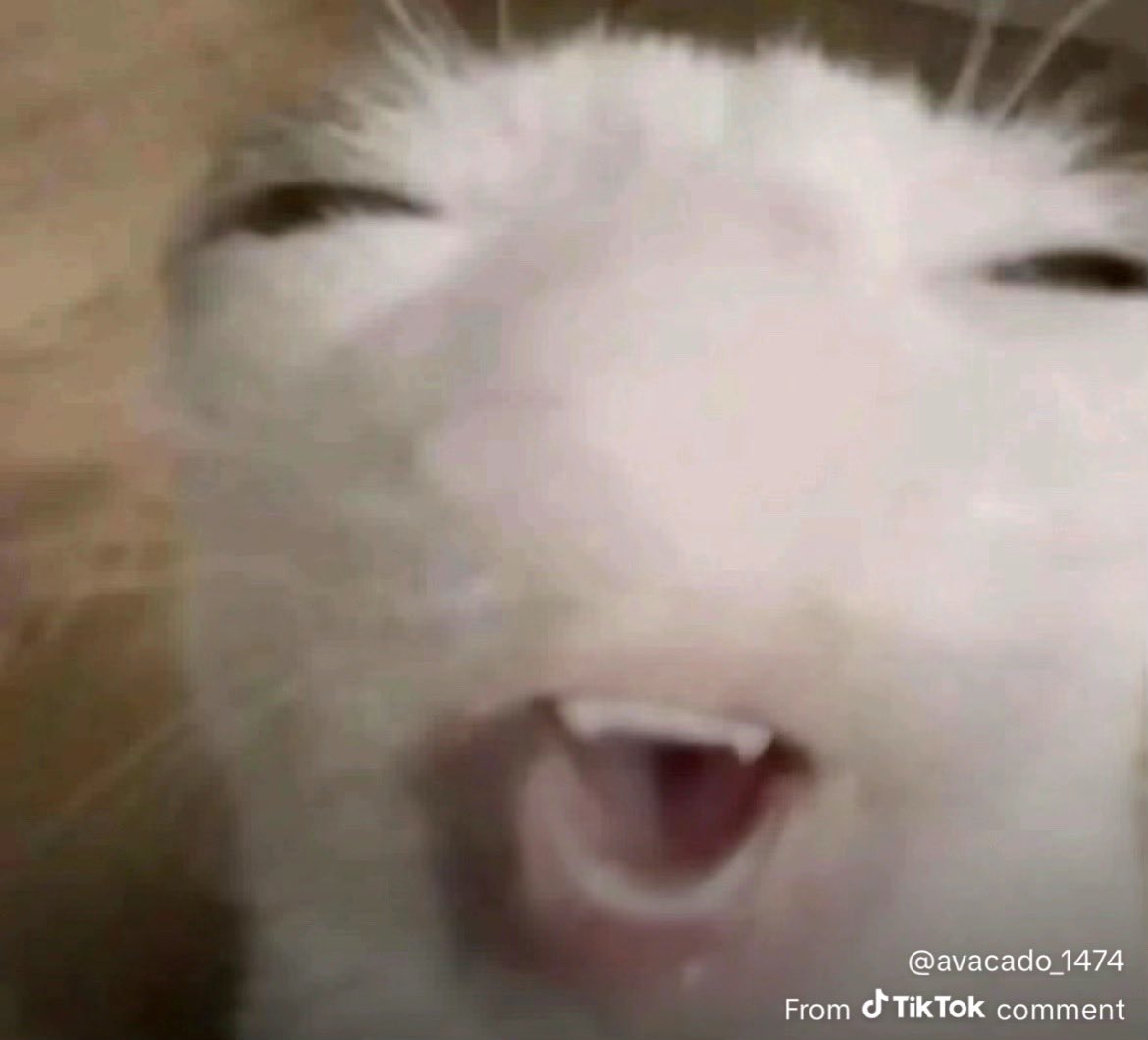 i year to be horizontal