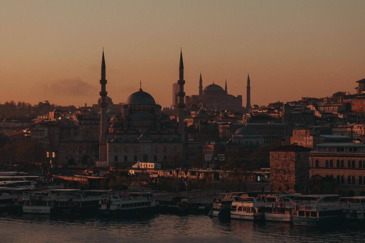 Wannawave tweet media