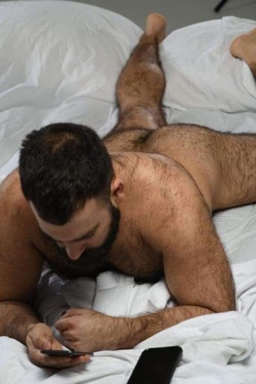 Palmer Beech tweet media