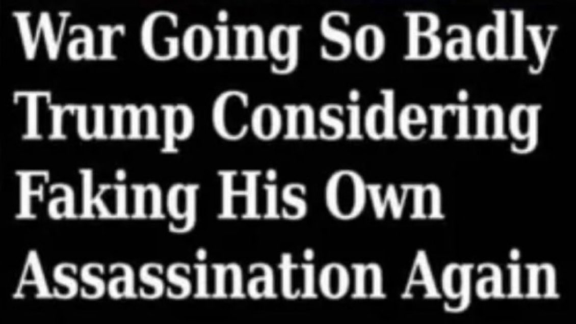 CaraMia200 tweet media