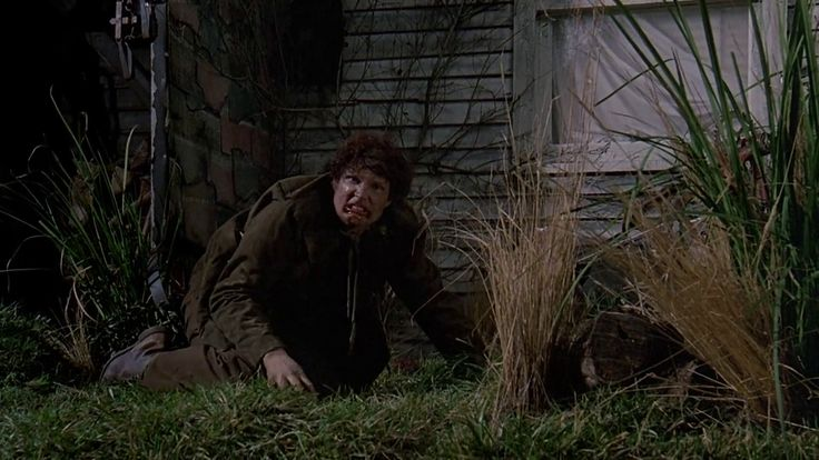 HalloweenYear-Round 🎃 tweet media