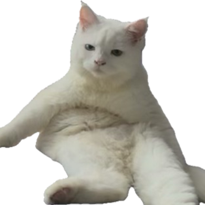 Michi Mochievee 💍 tweet media