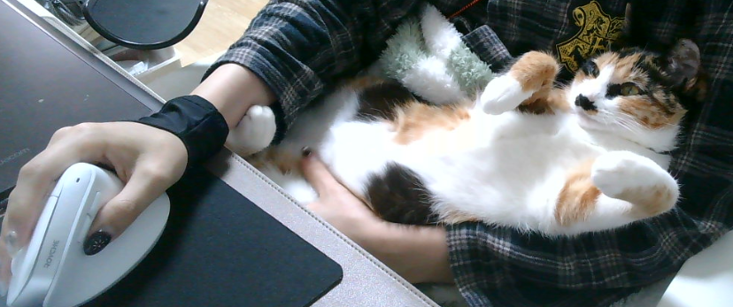 지또새도모르게🕊 tweet media