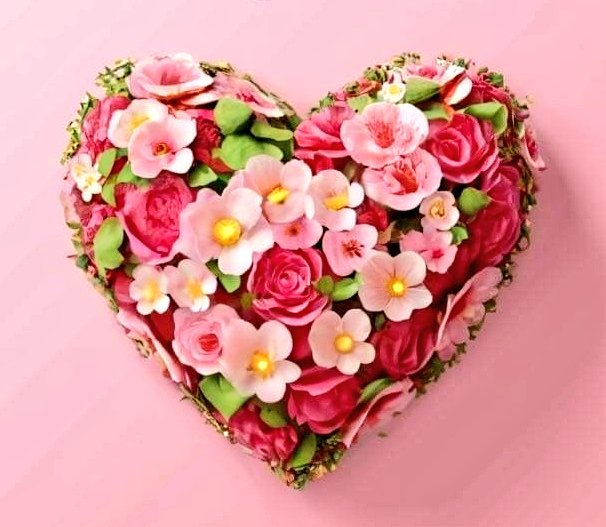 THE VIP GIRL tweet media