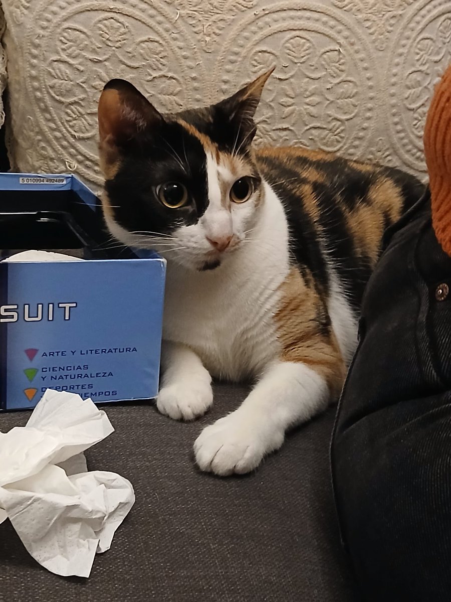 neus ❄️ tweet media