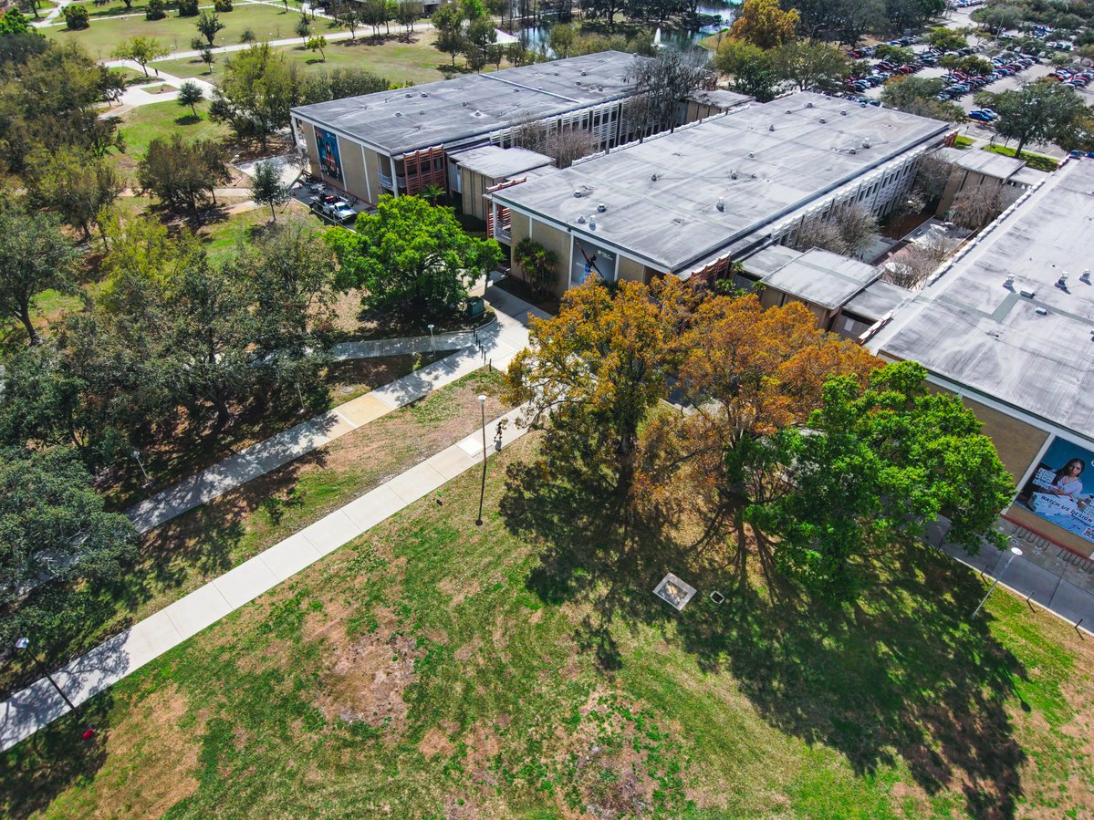 USouthFlorida's tweet image. It’s hard to spot at first, but once noticed, impossible to ignore.

The landscaping around #USF’s Fine Arts Building is neat and organized, but outside the adjacent Contemporary Art Museum, a cluster of trees breaks formation.

An error, possibly? Or natural growth? Not