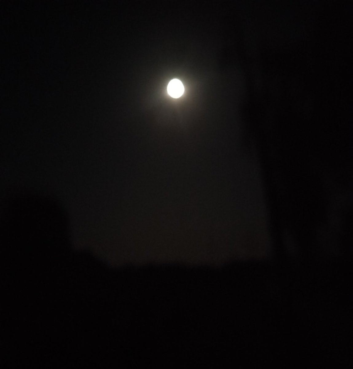 Kīrtivarman tweet media