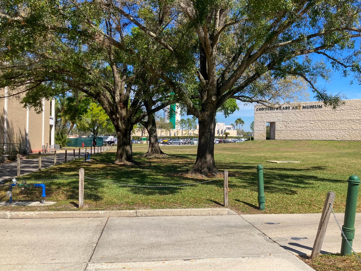 USouthFlorida's tweet image. It’s hard to spot at first, but once noticed, impossible to ignore.

The landscaping around #USF’s Fine Arts Building is neat and organized, but outside the adjacent Contemporary Art Museum, a cluster of trees breaks formation.

An error, possibly? Or natural growth? Not