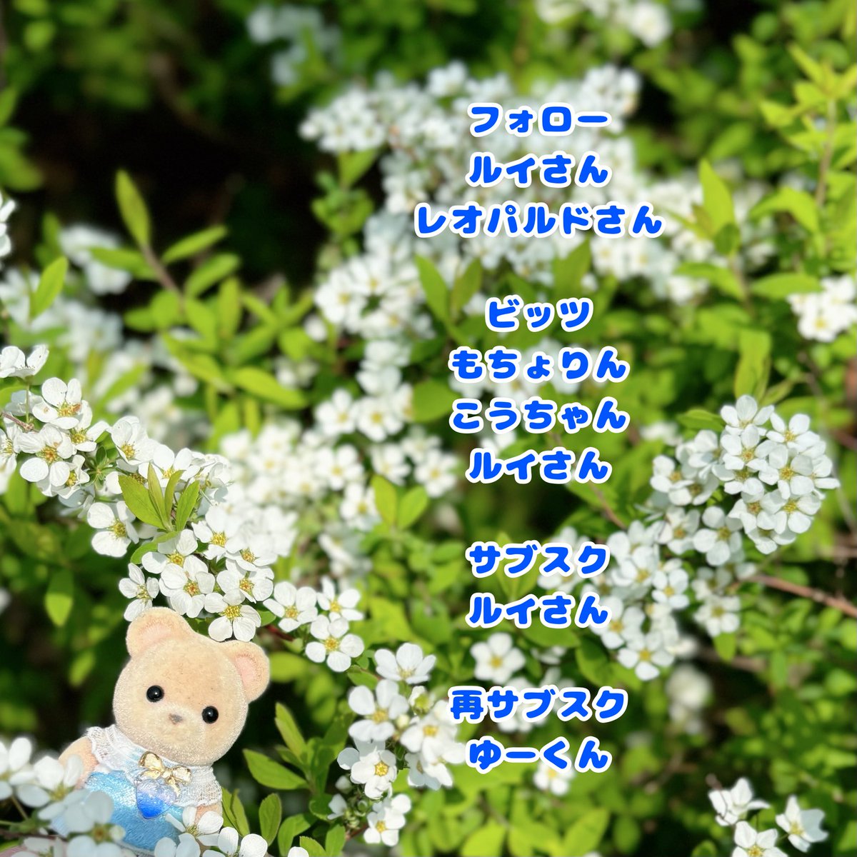 いかぴっぴ tweet media