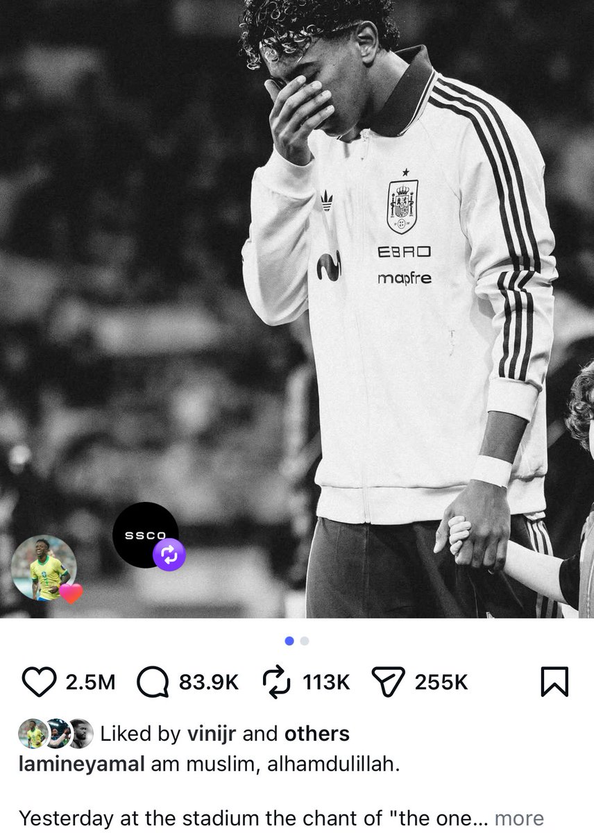 Madrid Zone tweet media