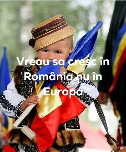 FlyingChu tweet media