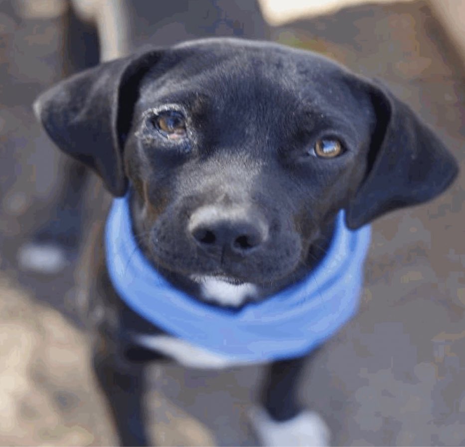 Aurora ⸆⸉ misses Liam ❯❯❯❯ tweet media