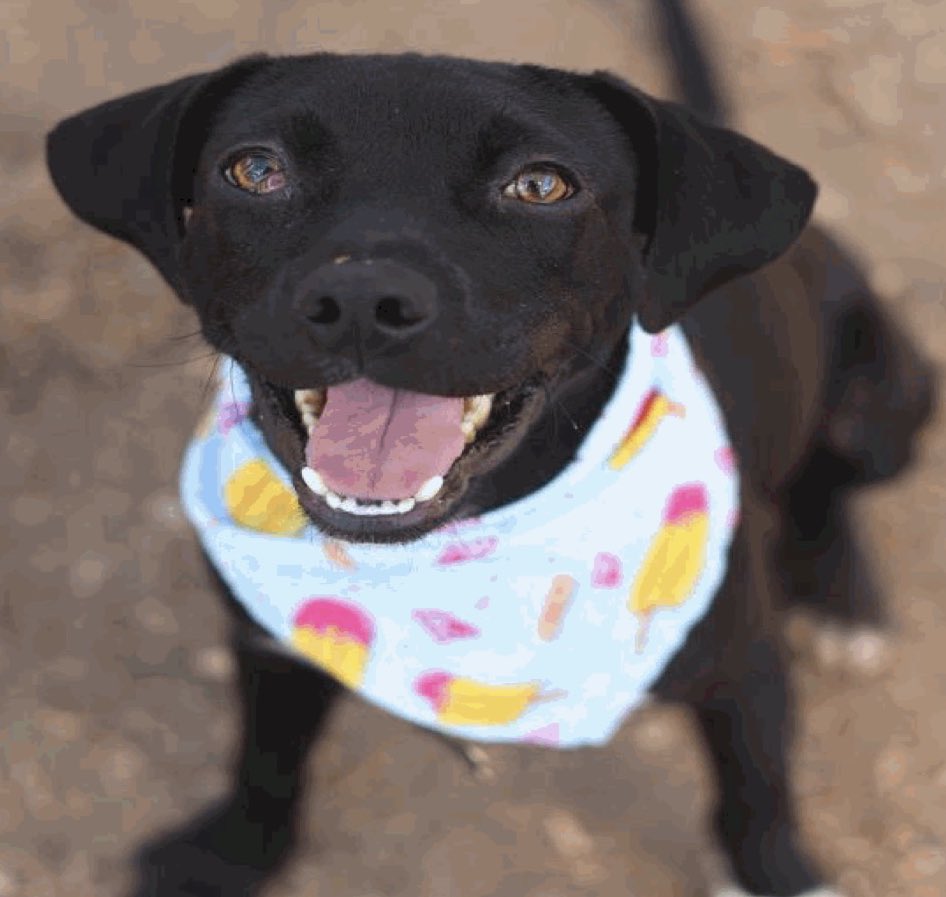 Aurora ⸆⸉ misses Liam ❯❯❯❯ tweet media