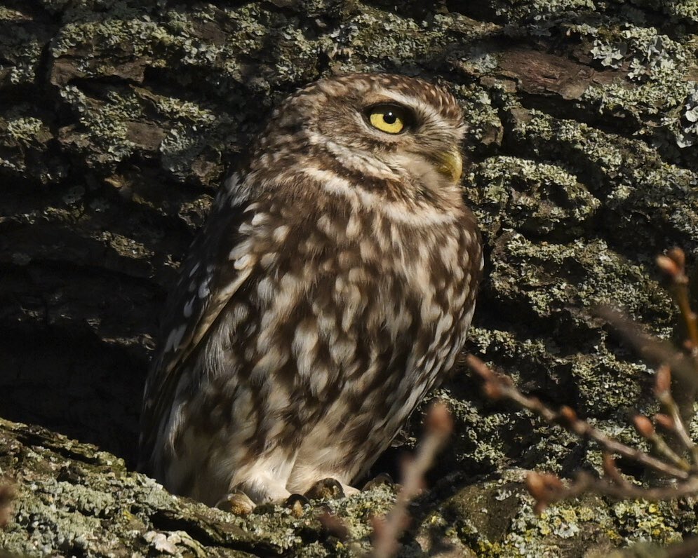 David Rouse 🍃💚🍃 tweet media