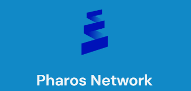 sereb_sun tweet media